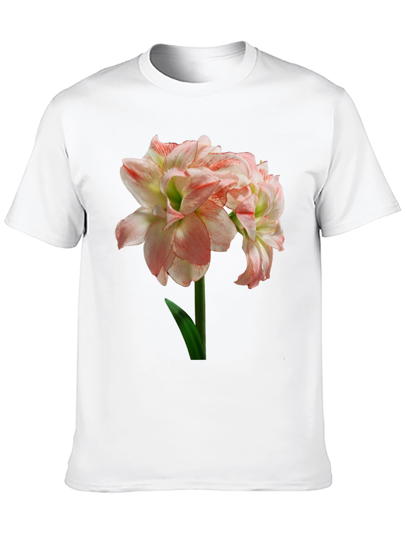Floral Graphic Print T-Shirt