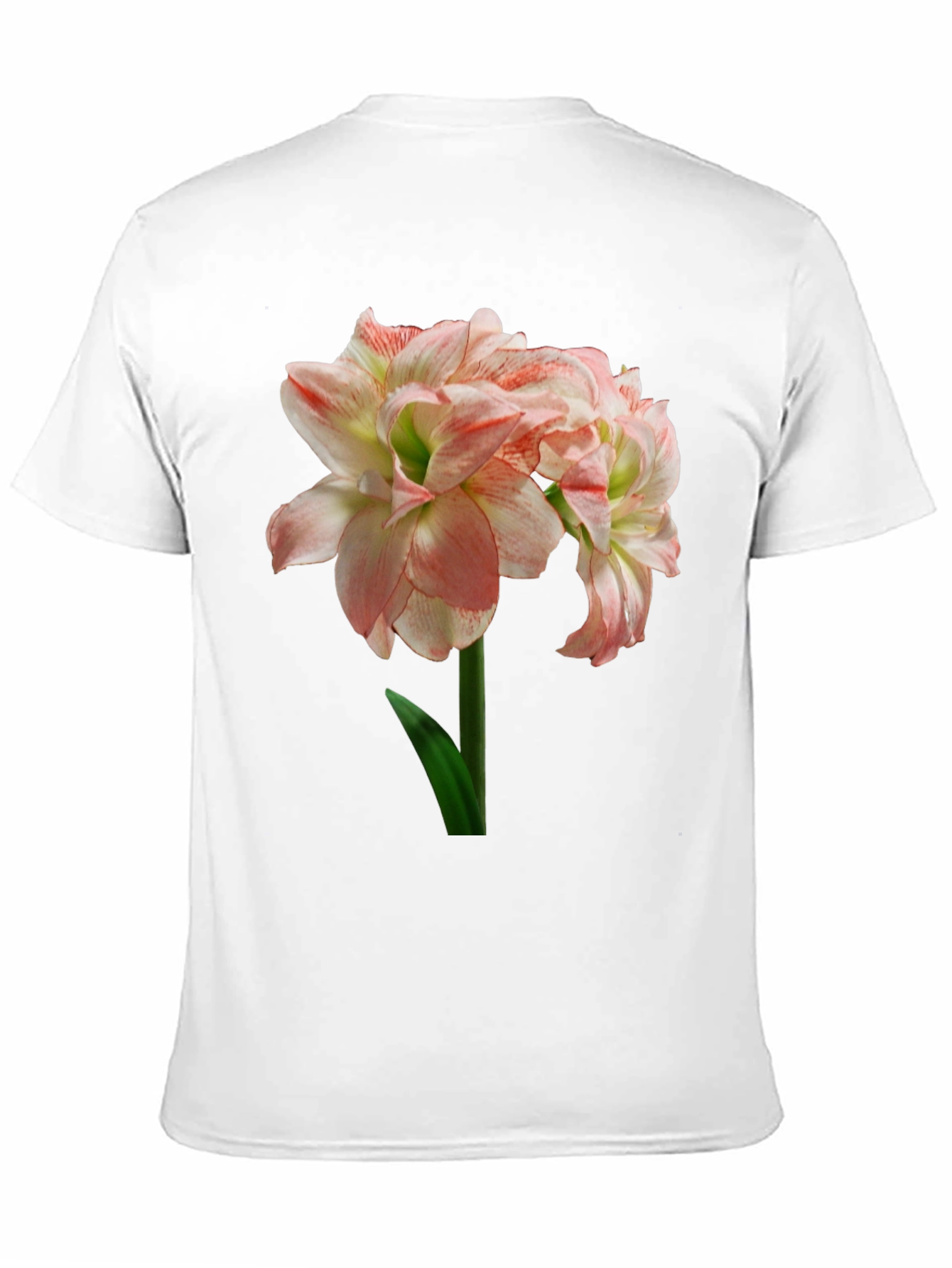 Floral Graphic Print T-Shirt