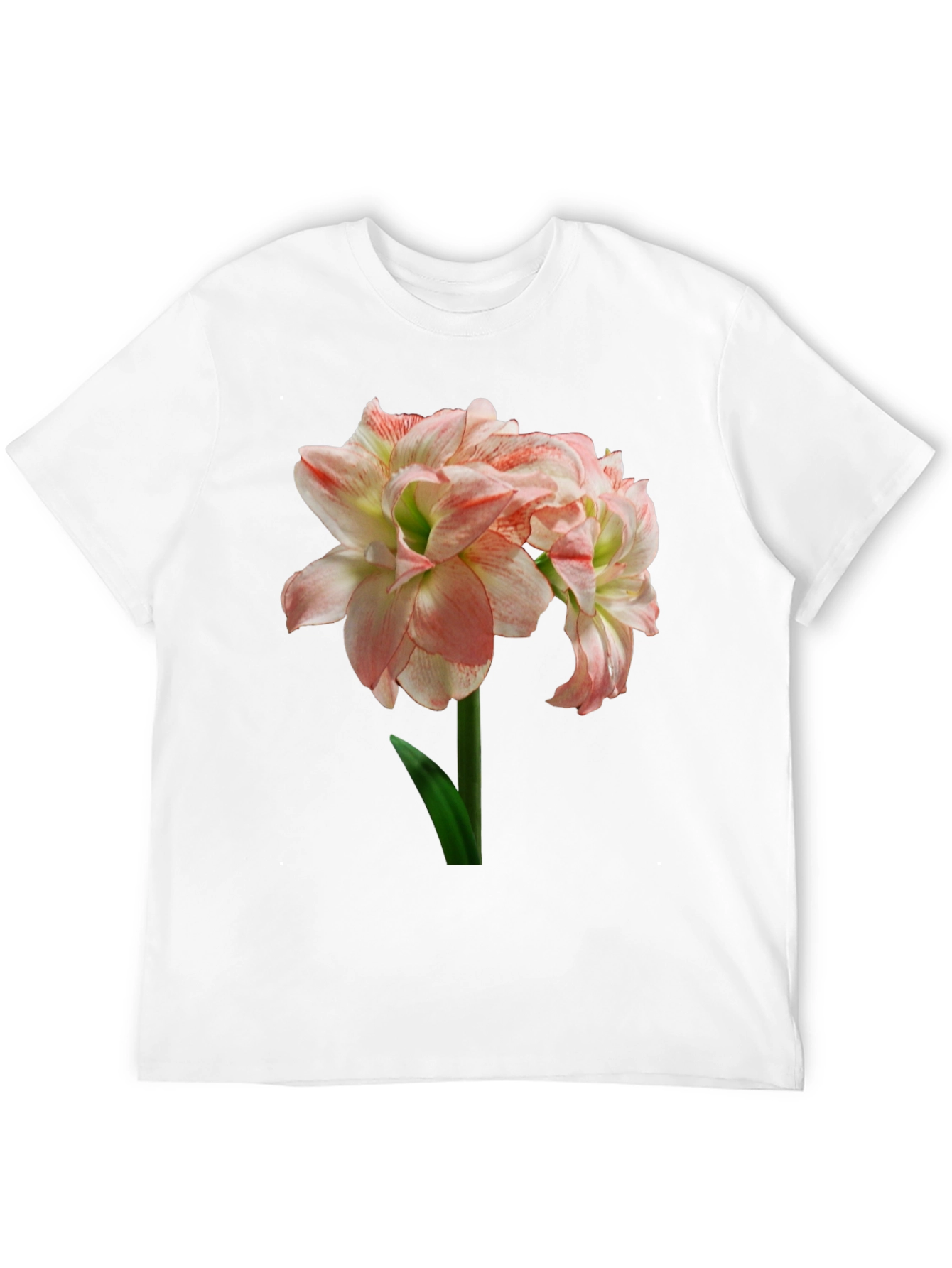 Floral Graphic Print T-Shirt