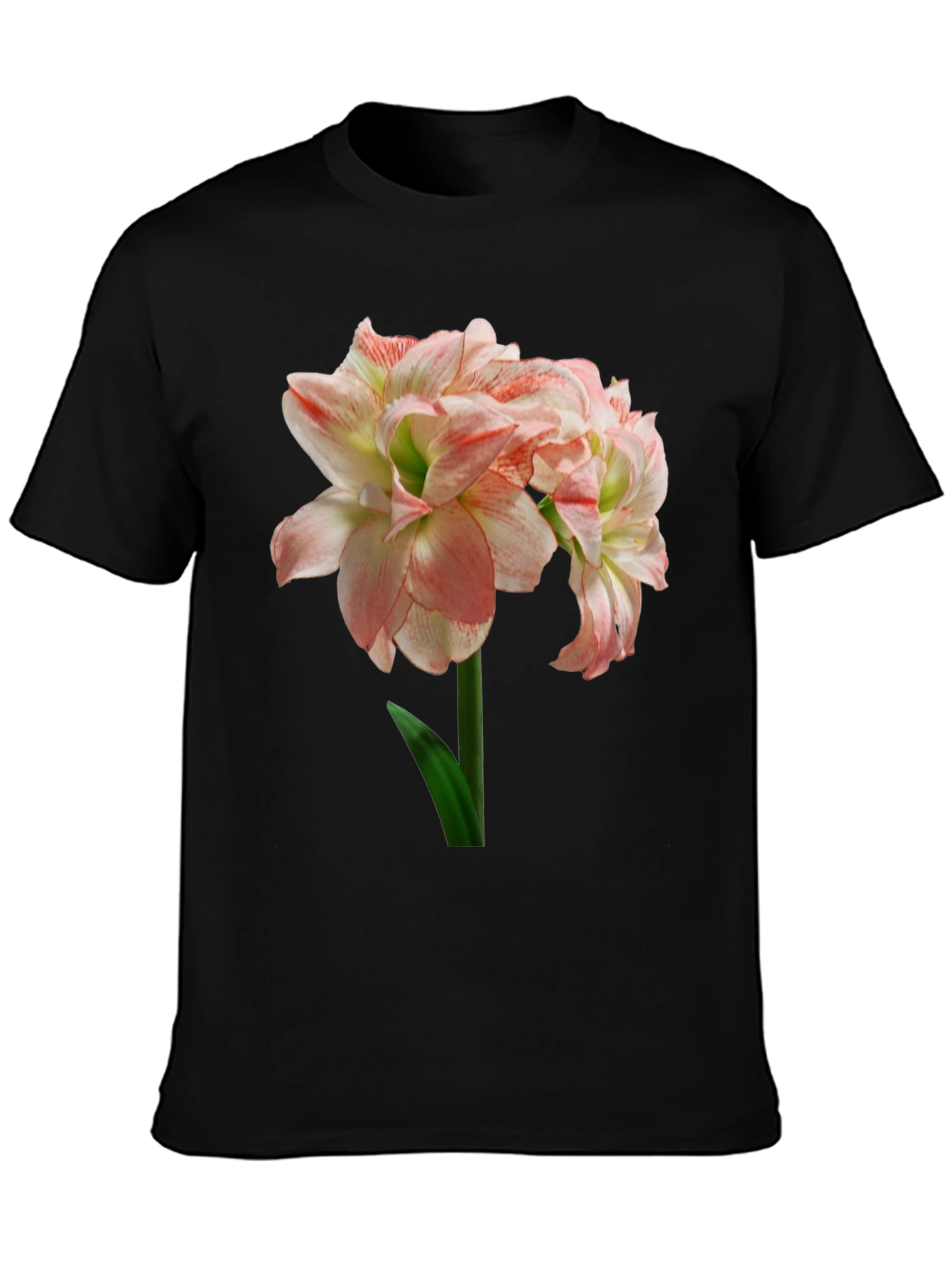 Floral Graphic Print T-Shirt
