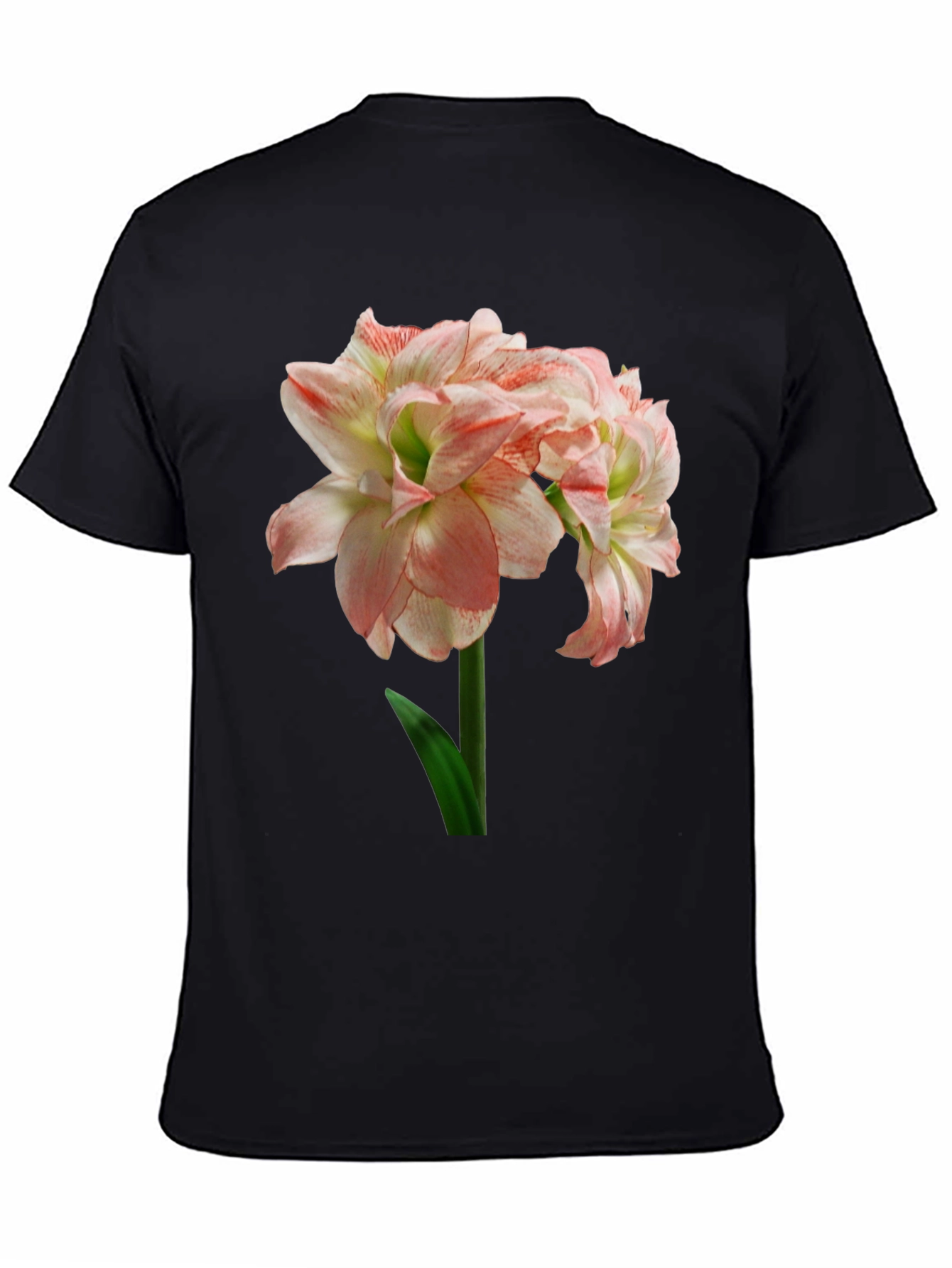 Floral Graphic Print T-Shirt