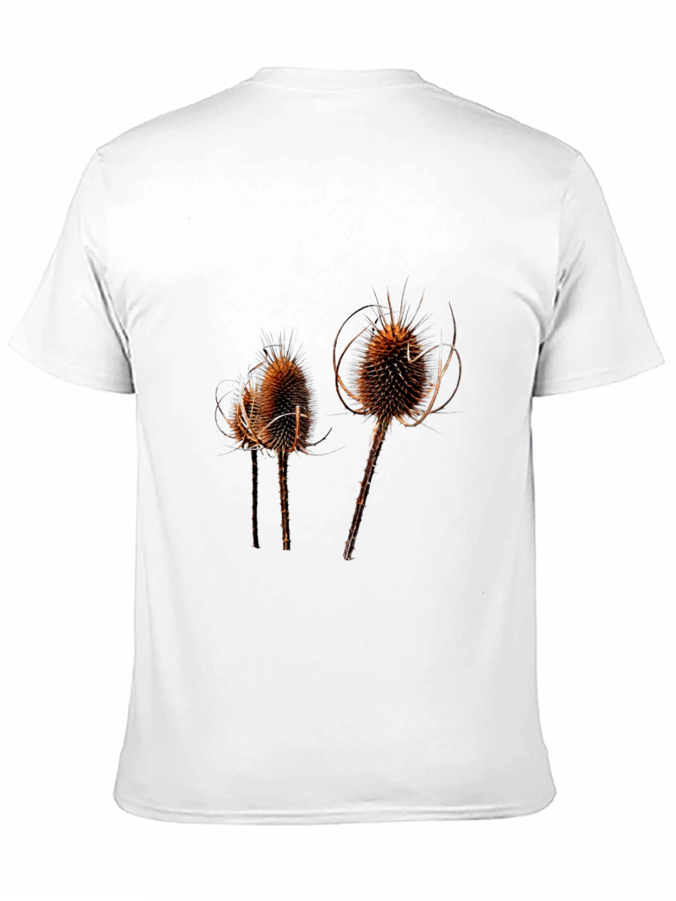 Thistle Print Black T-Shirt for Men
