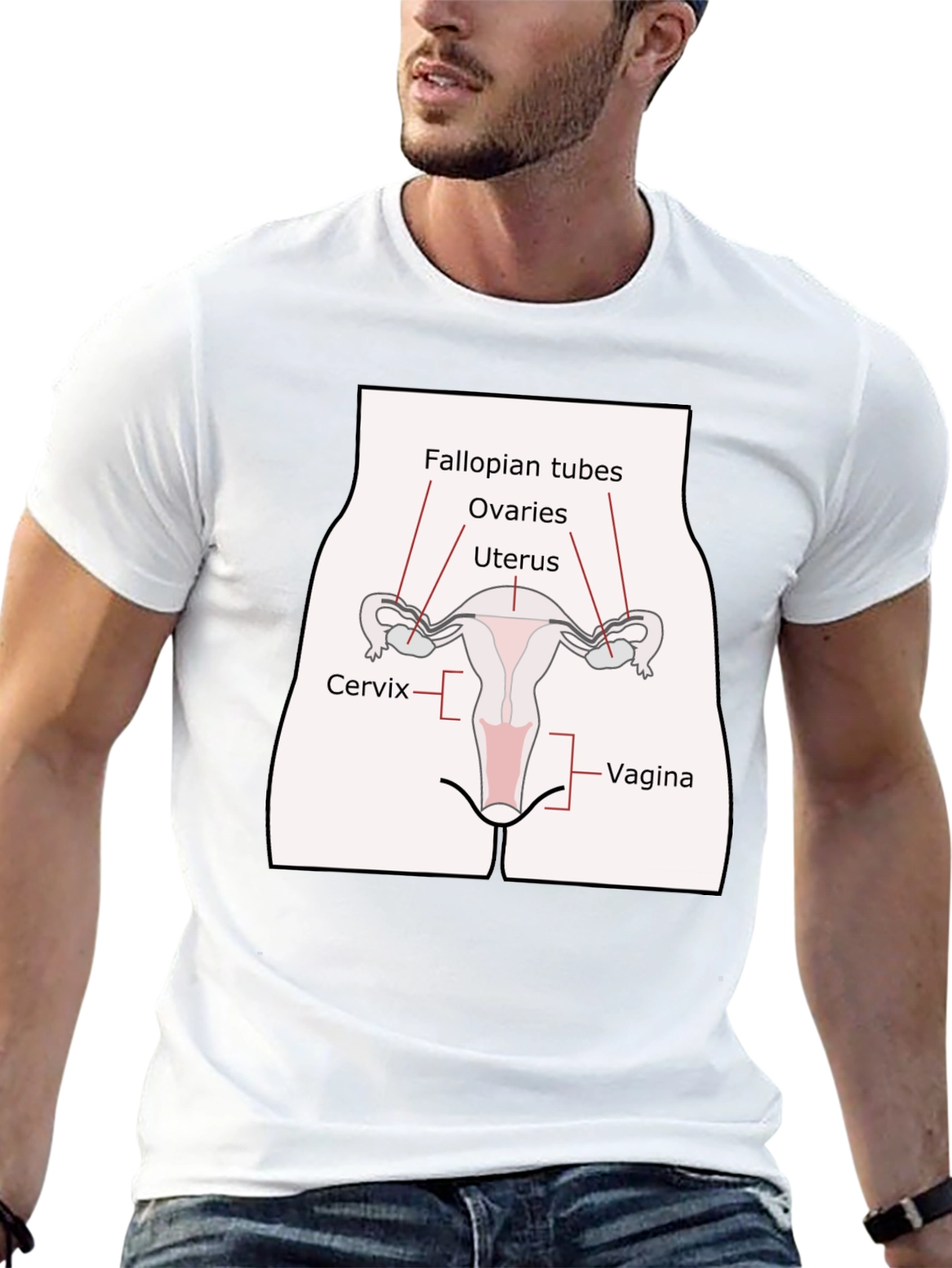 Anatomy Humor T-Shirt: Female Reproductive System