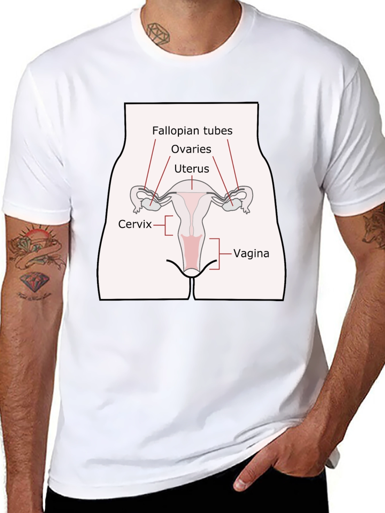 Anatomy Humor T-Shirt: Female Reproductive System