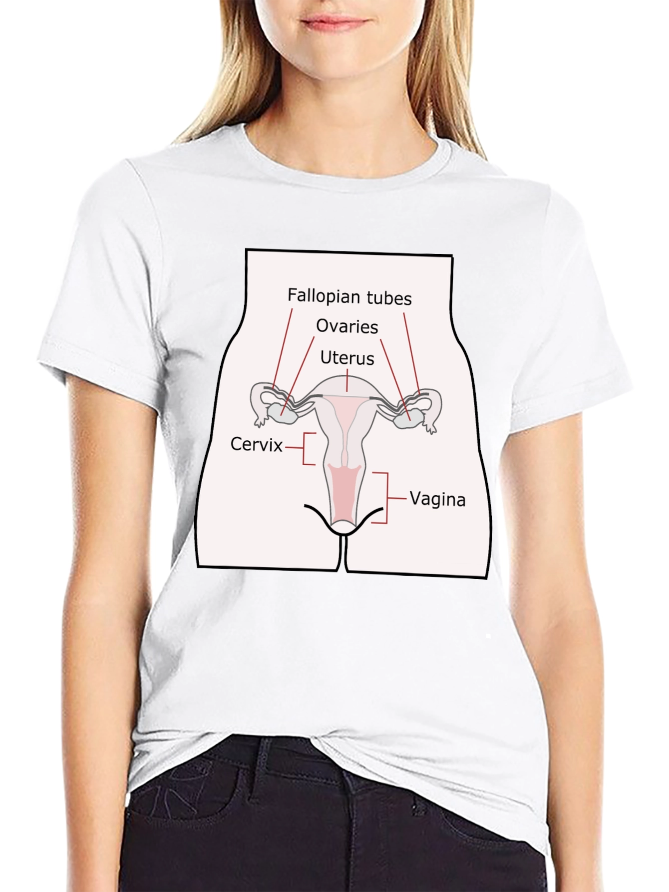 Anatomy Humor T-Shirt: Female Reproductive System