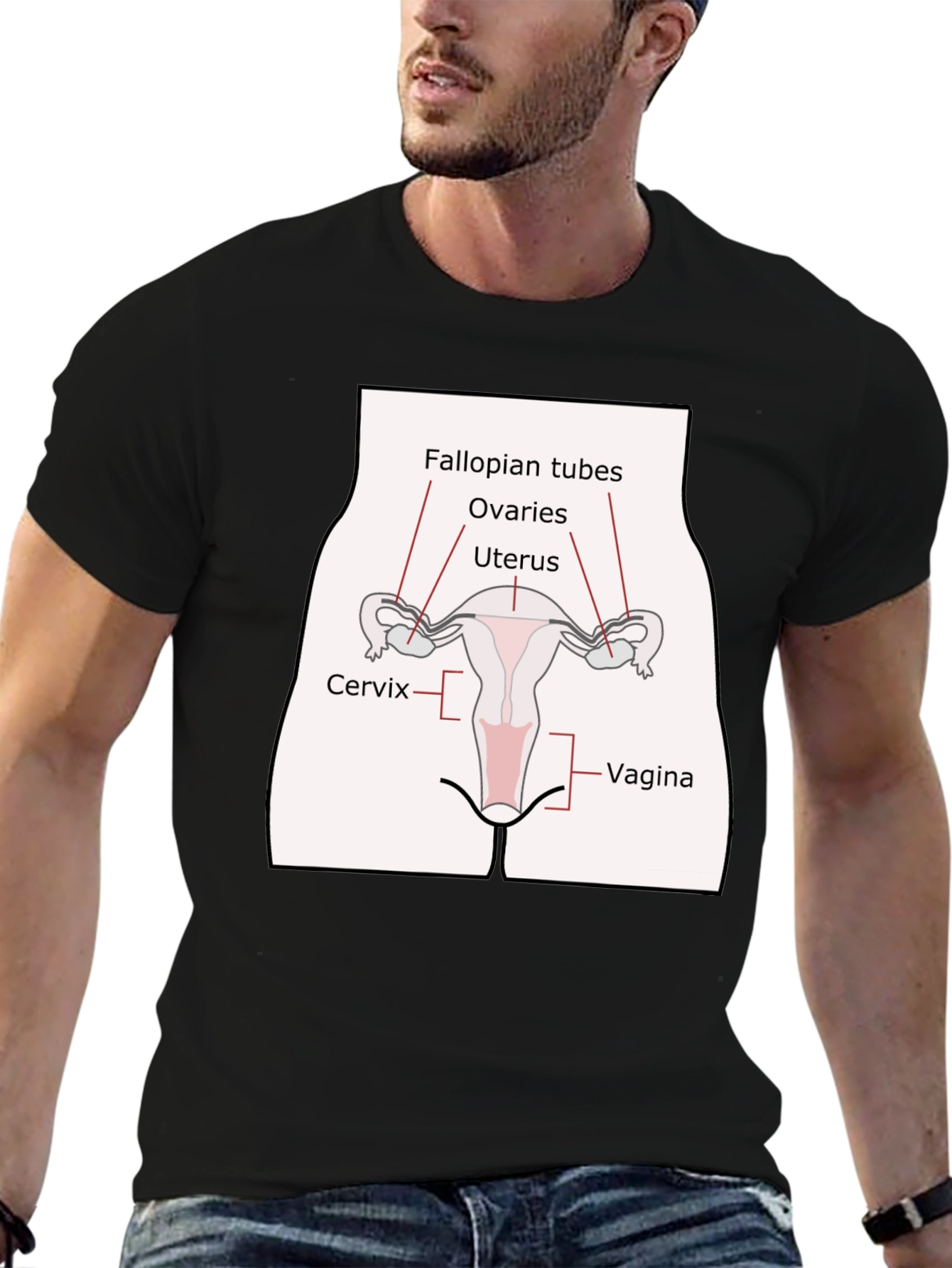Anatomy Humor T-Shirt: Female Reproductive System