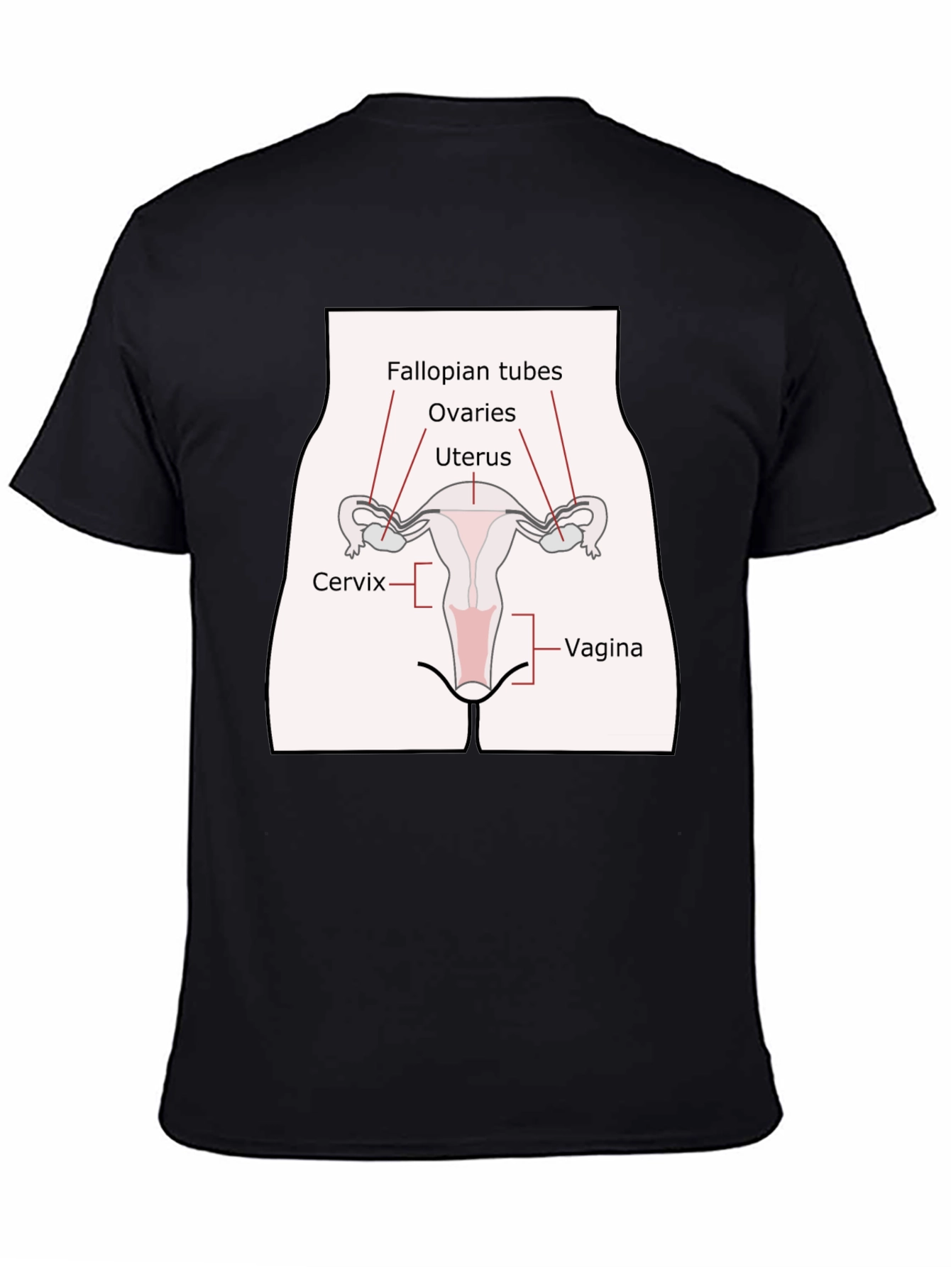 Anatomy Humor T-Shirt: Female Reproductive System