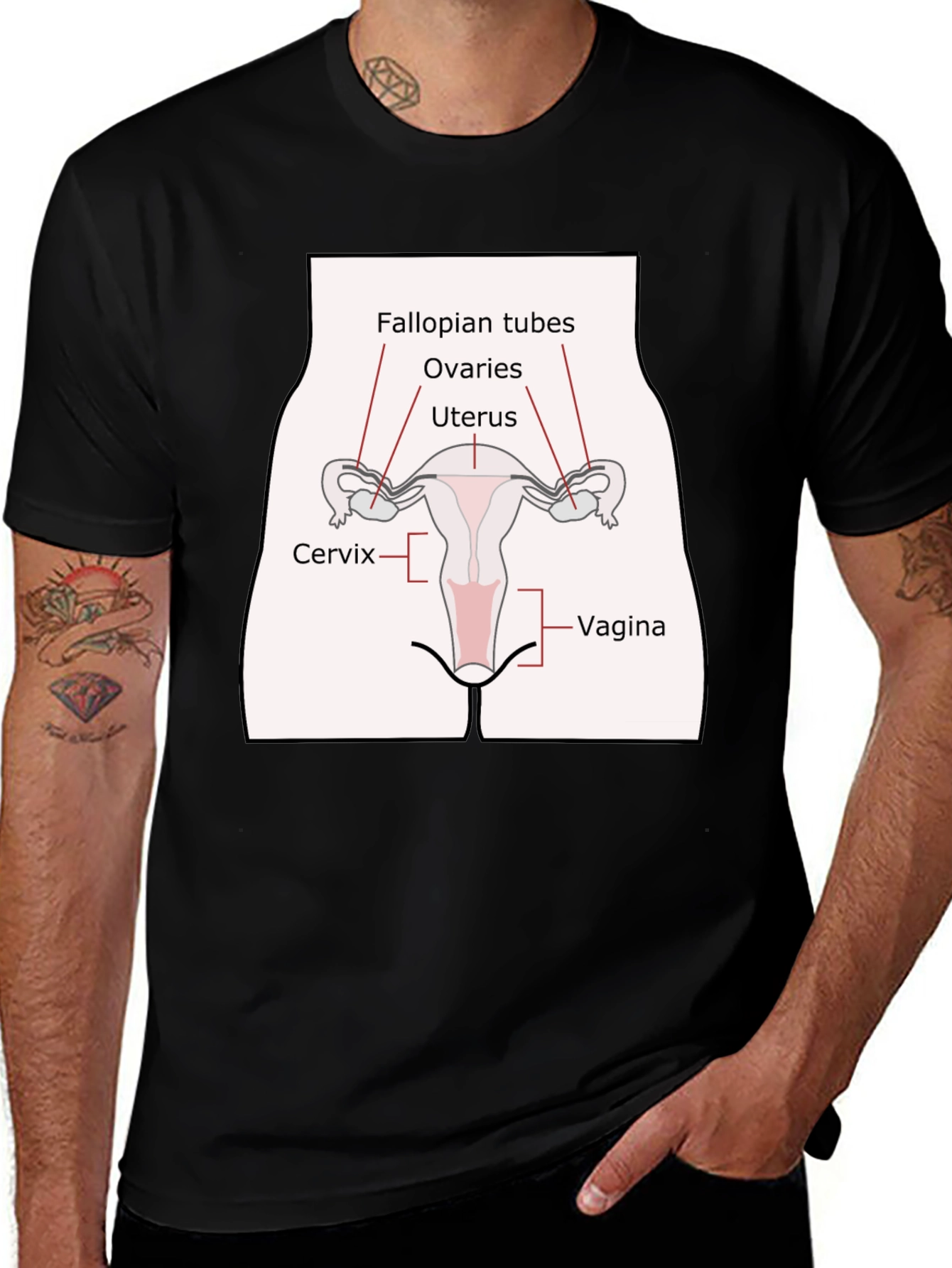Anatomy Humor T-Shirt: Female Reproductive System