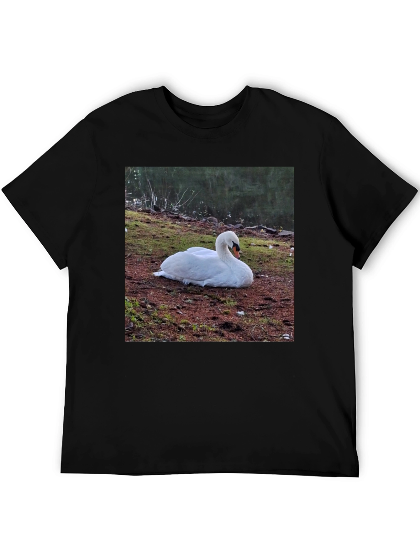 Swan Graphic Tee - Unique Nature Lovers Shirt