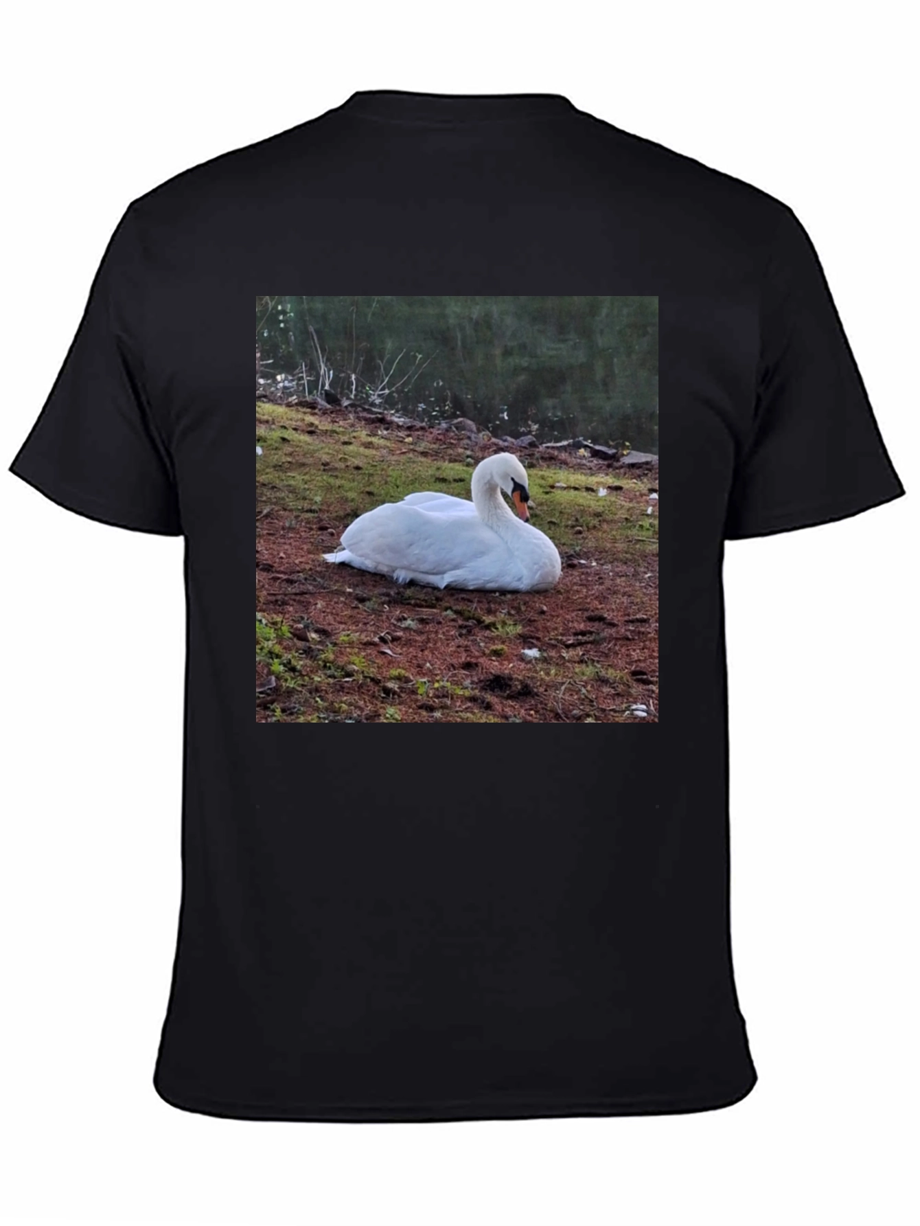 Swan Graphic Tee - Unique Nature Lovers Shirt
