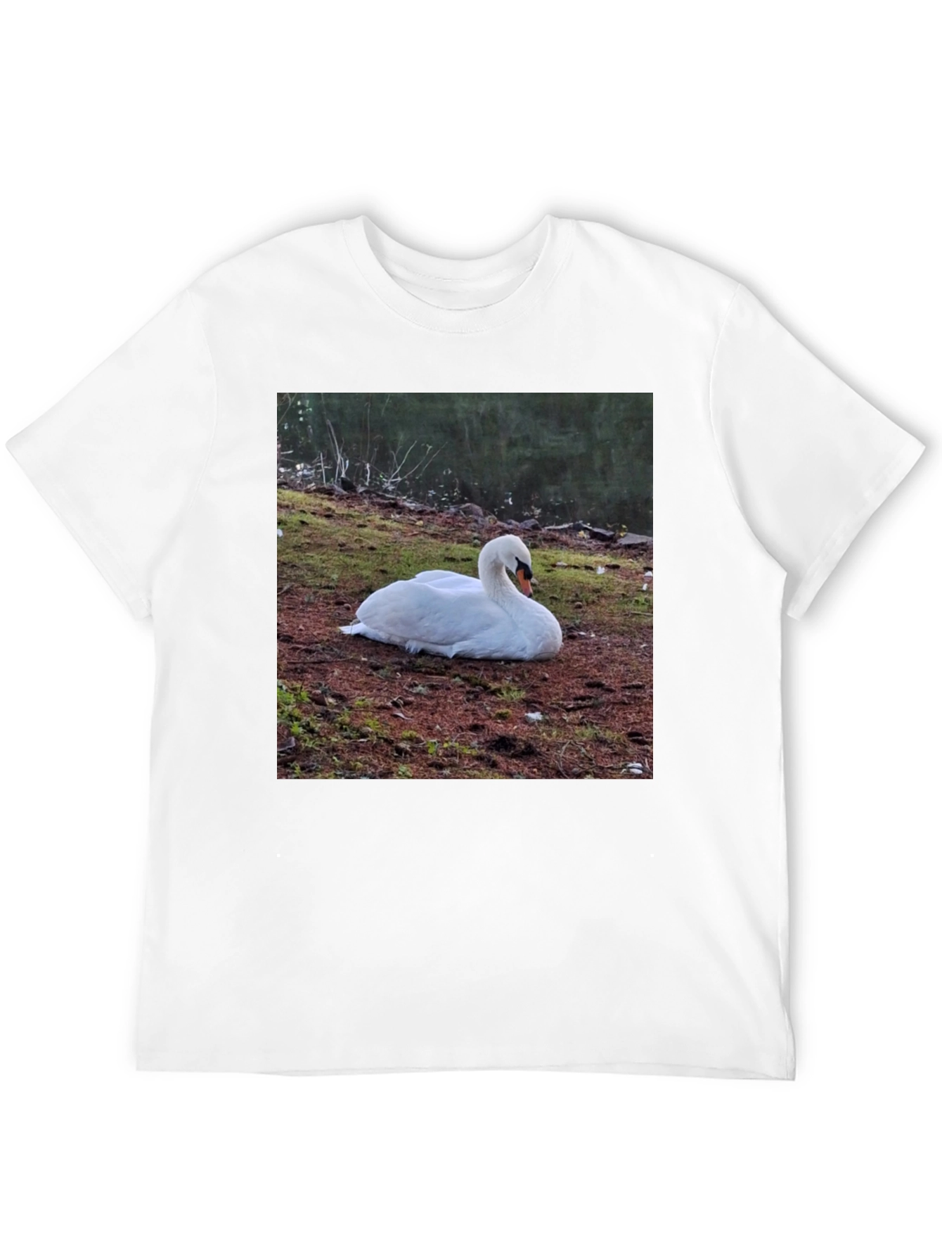 Swan Graphic Tee - Unique Nature Lovers Shirt