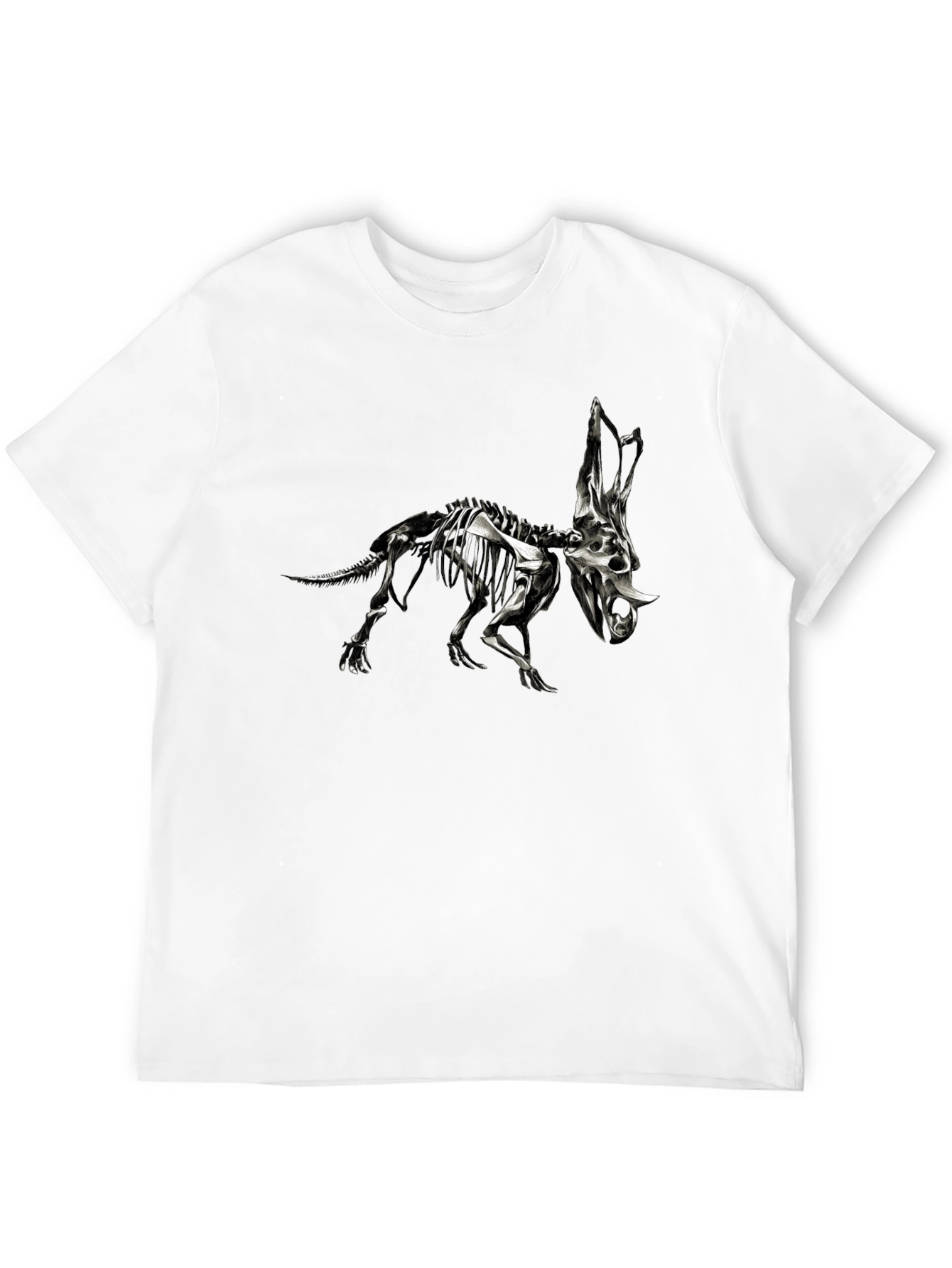Dinosaur Skeleton Graphic T-Shirt