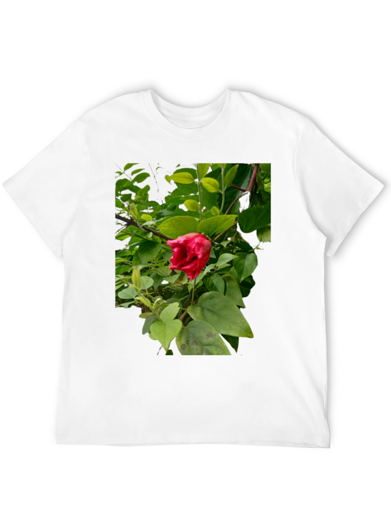 Red Hibiscus Floral Print Black T-Shirt