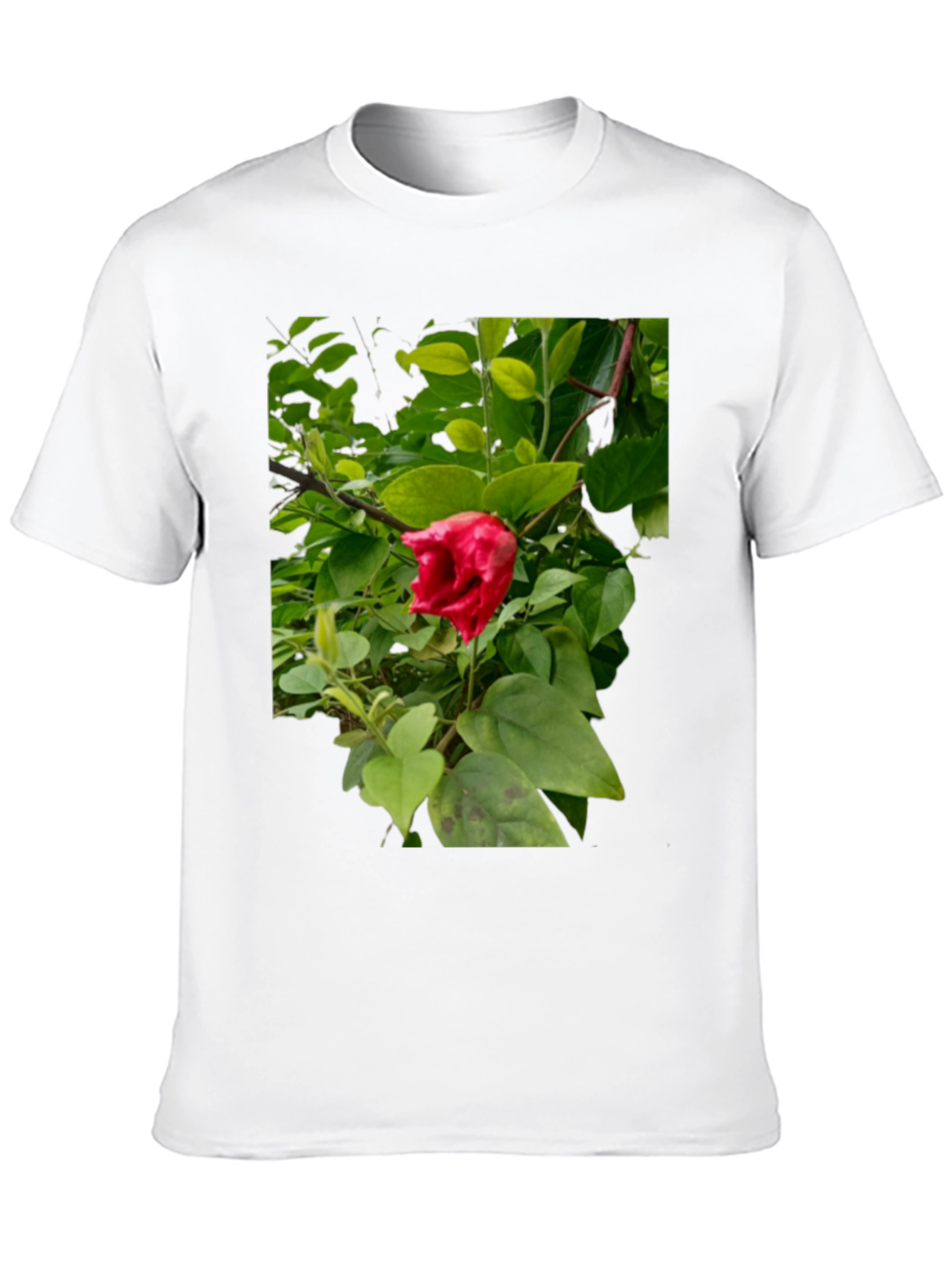 Red Hibiscus Floral Print Black T-Shirt