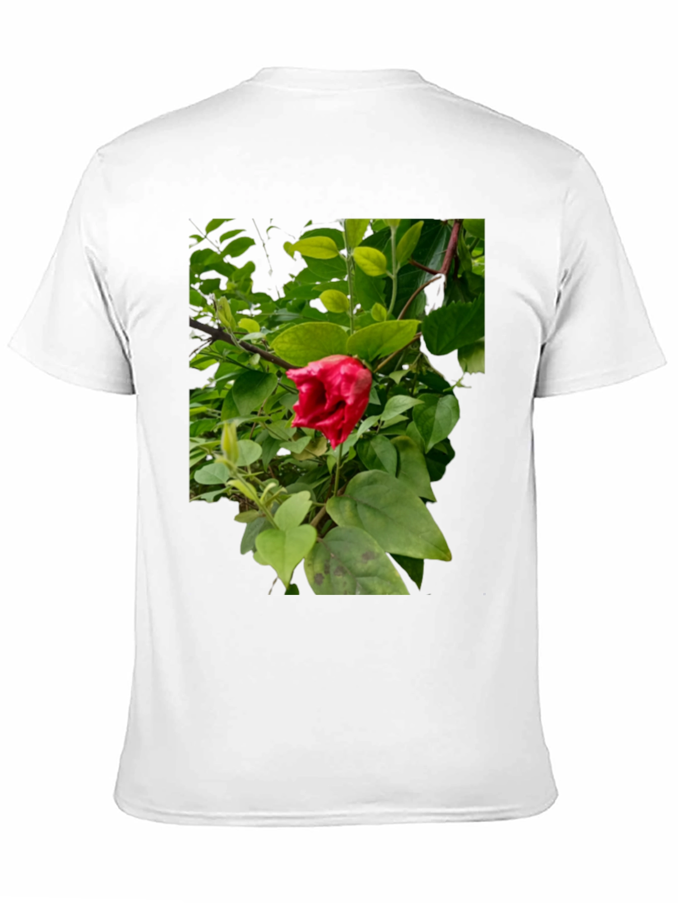 Red Hibiscus Floral Print Black T-Shirt