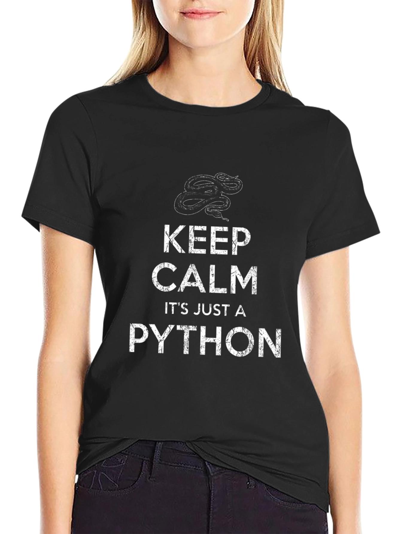 Keep Calm Its Just a Python T-Shirt