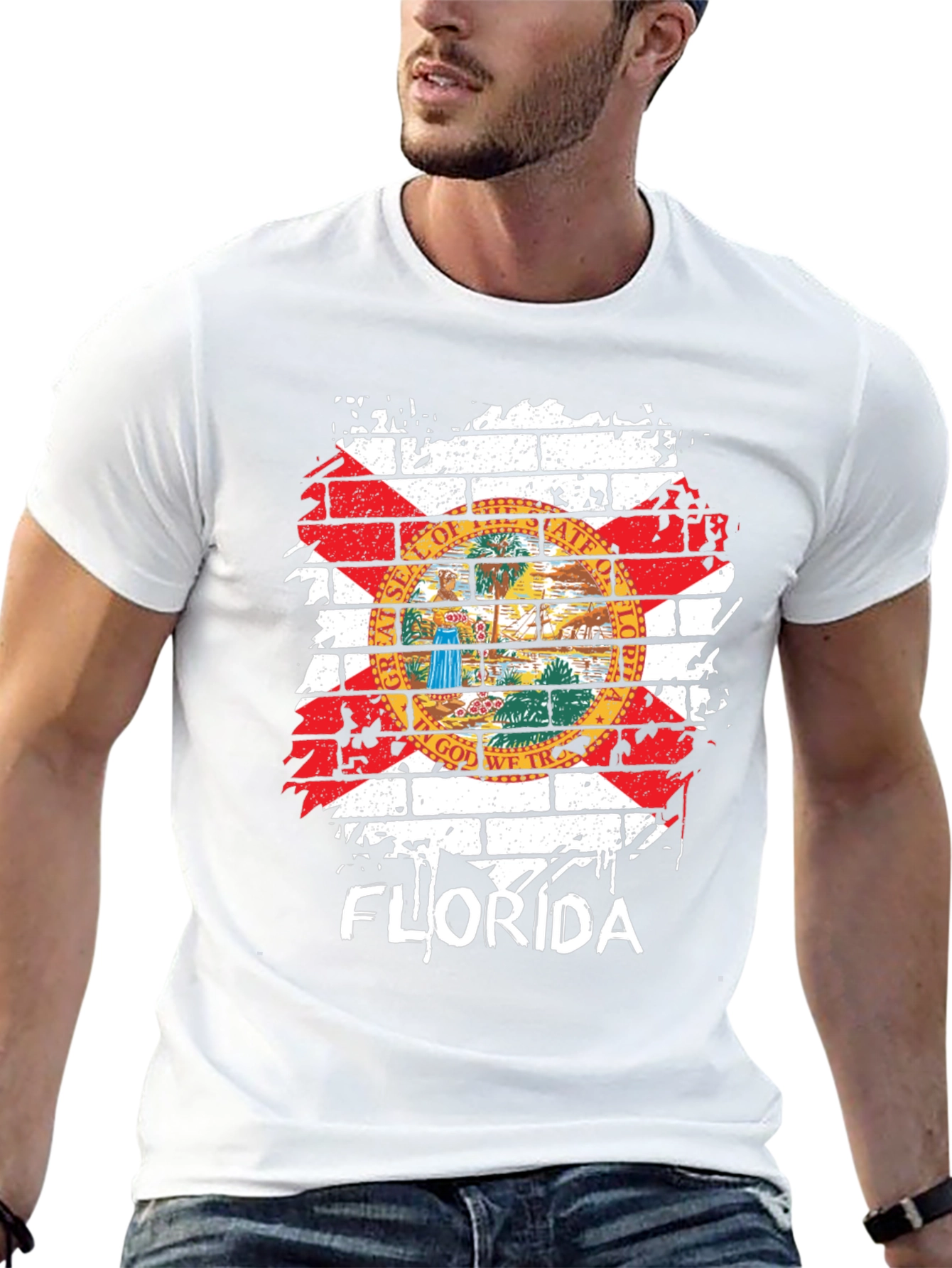 Florida State Flag Graphic T-Shirt