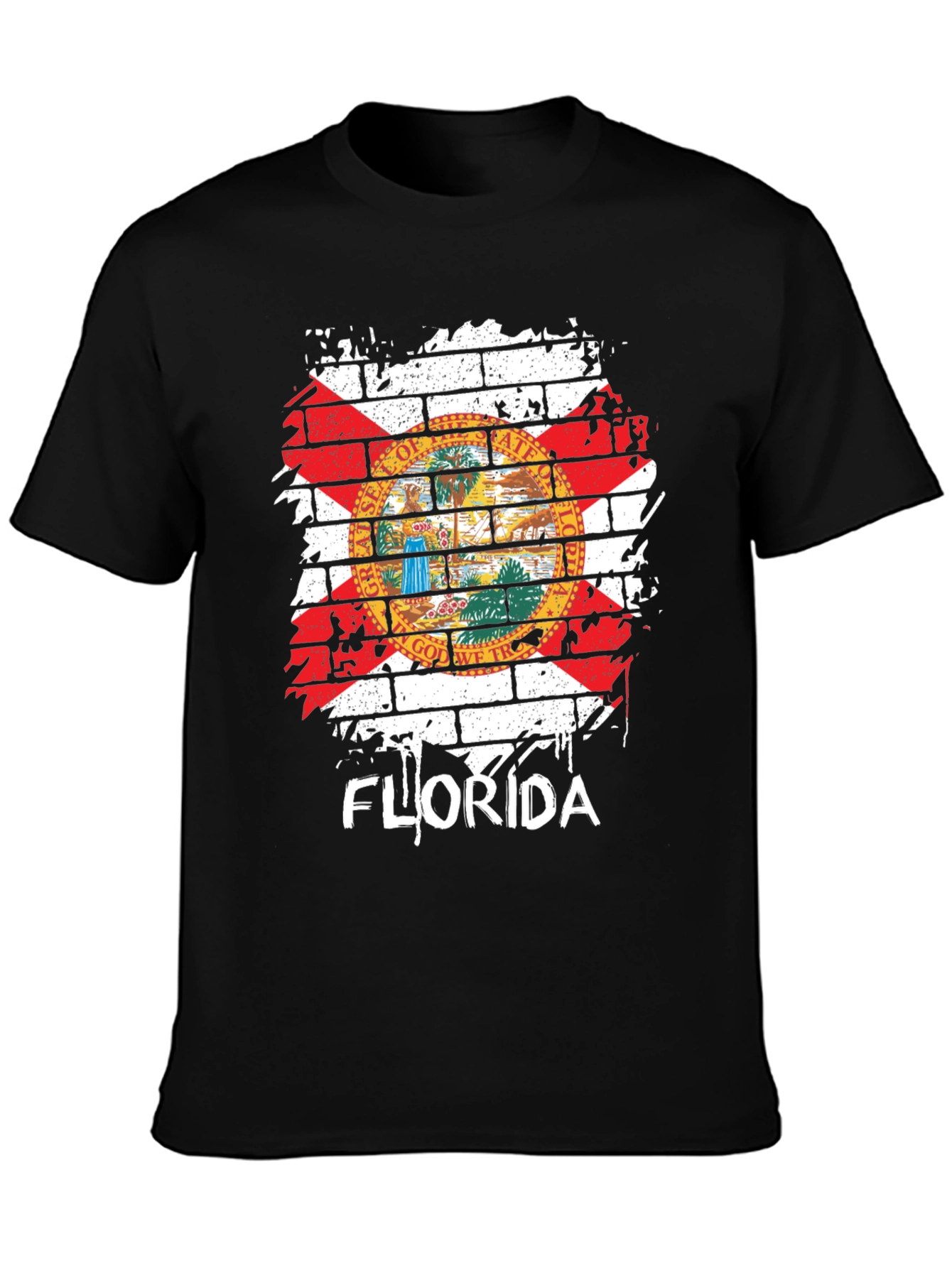 Florida State Flag Graphic T-Shirt