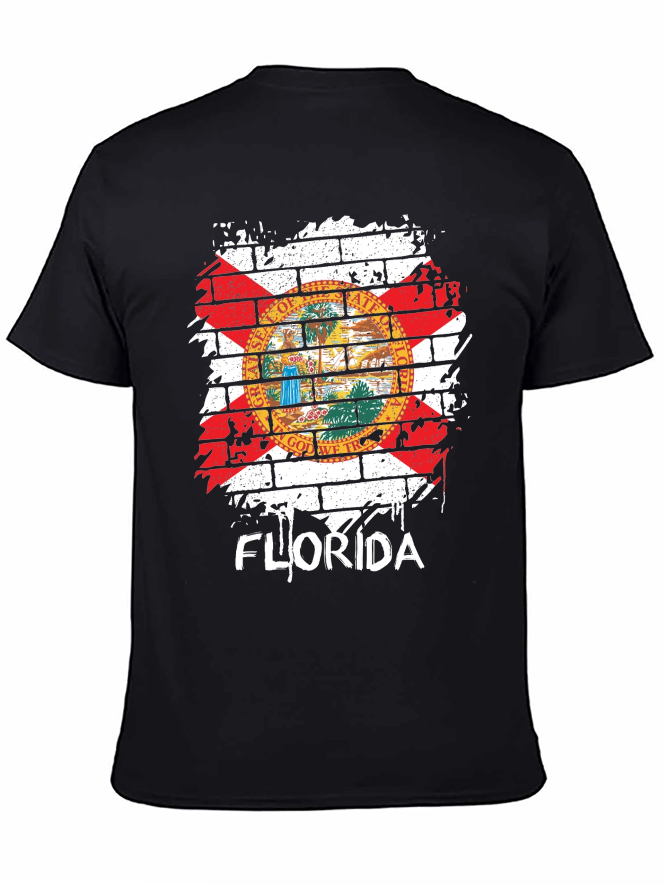 Florida State Flag Graphic T-Shirt