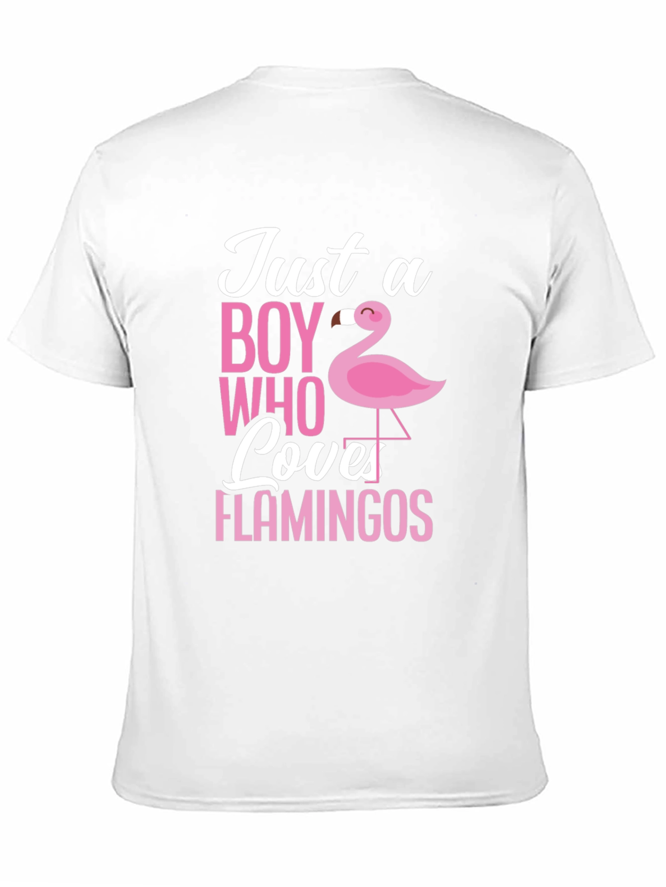 Just a Boy Who Loves Flamingos T-Shirt