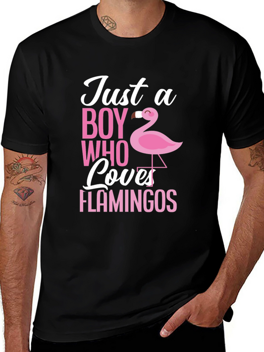 Just a Boy Who Loves Flamingos T-Shirt