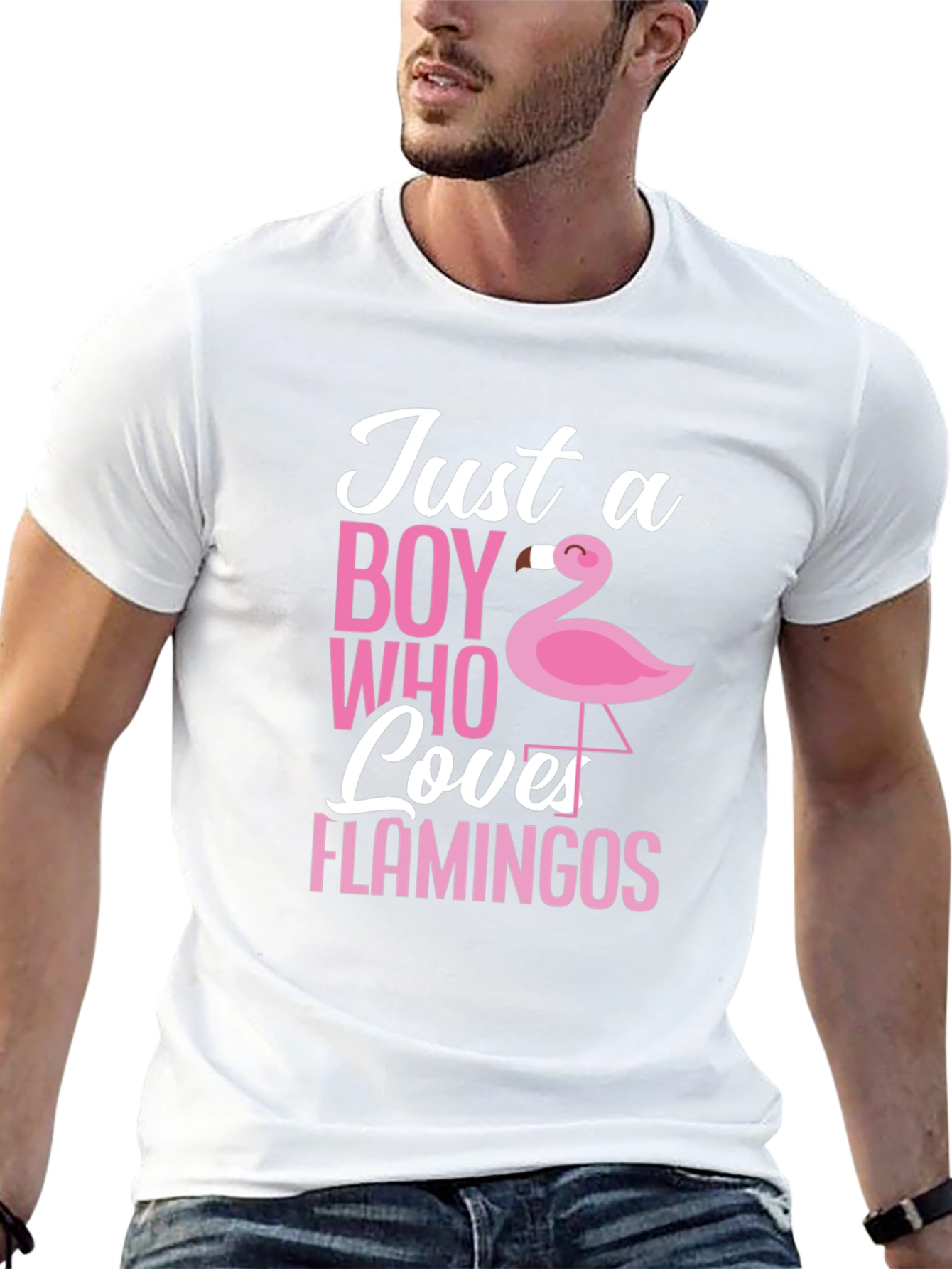 Just a Boy Who Loves Flamingos T-Shirt