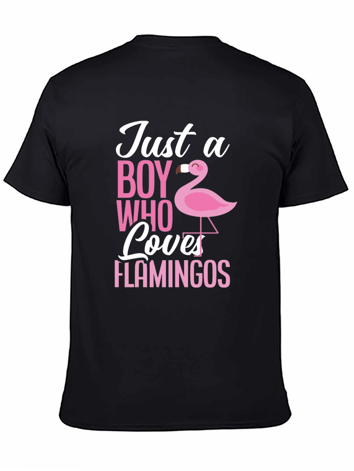 Just a Boy Who Loves Flamingos T-Shirt