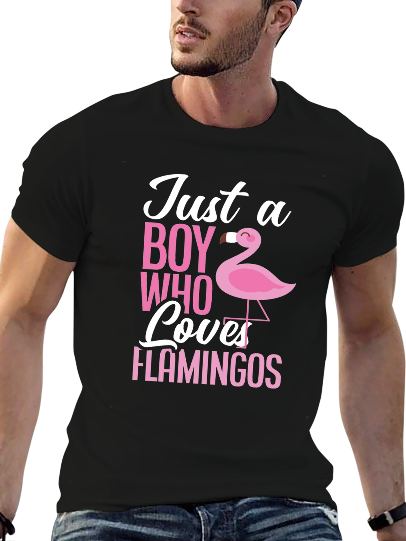 Just a Boy Who Loves Flamingos T-Shirt