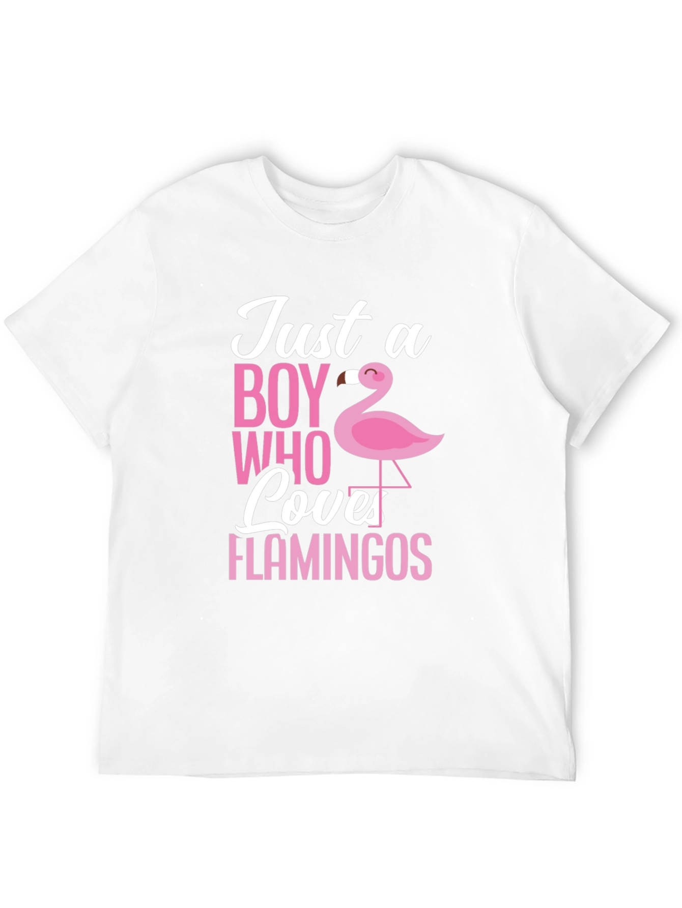 Just a Boy Who Loves Flamingos T-Shirt