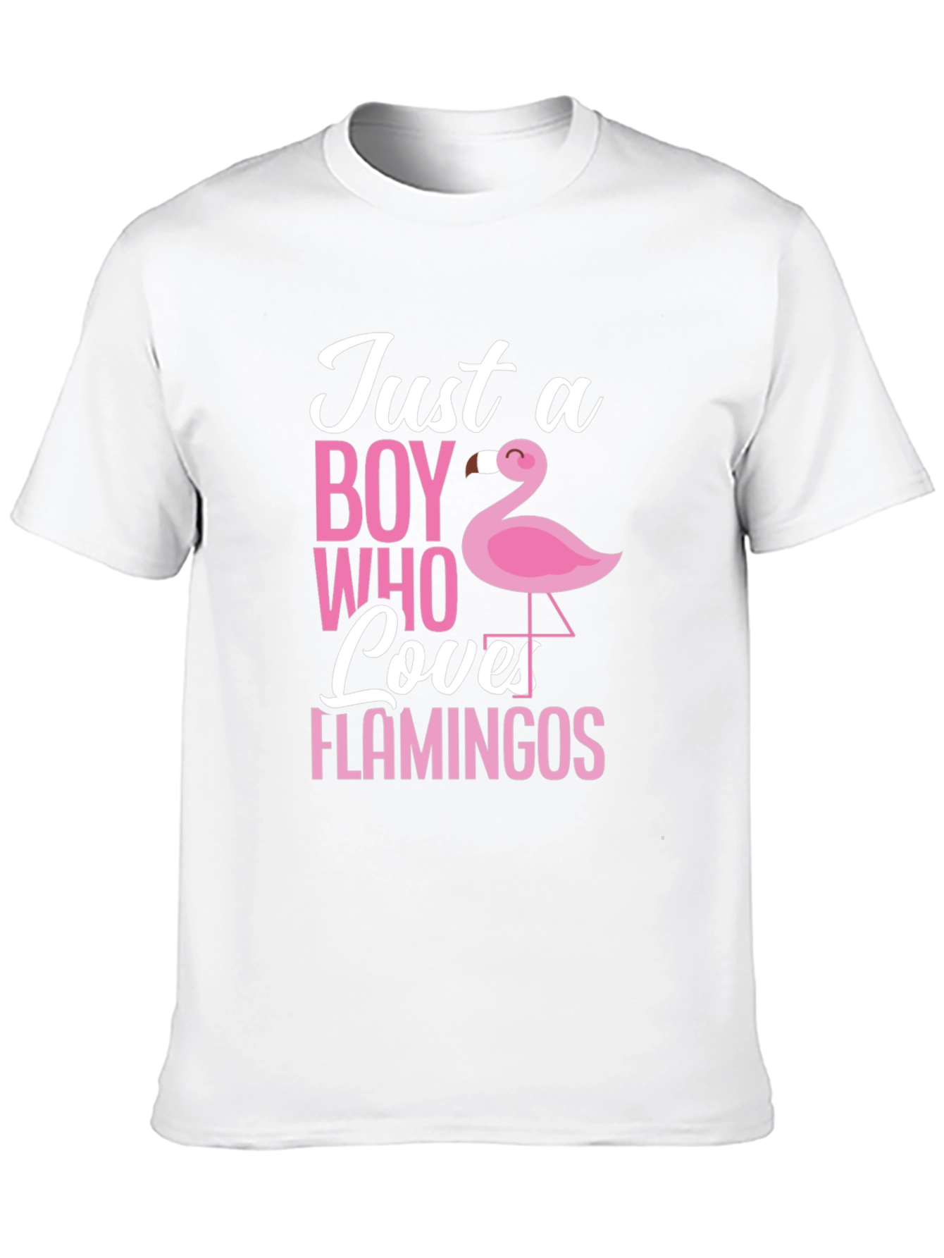 Just a Boy Who Loves Flamingos T-Shirt