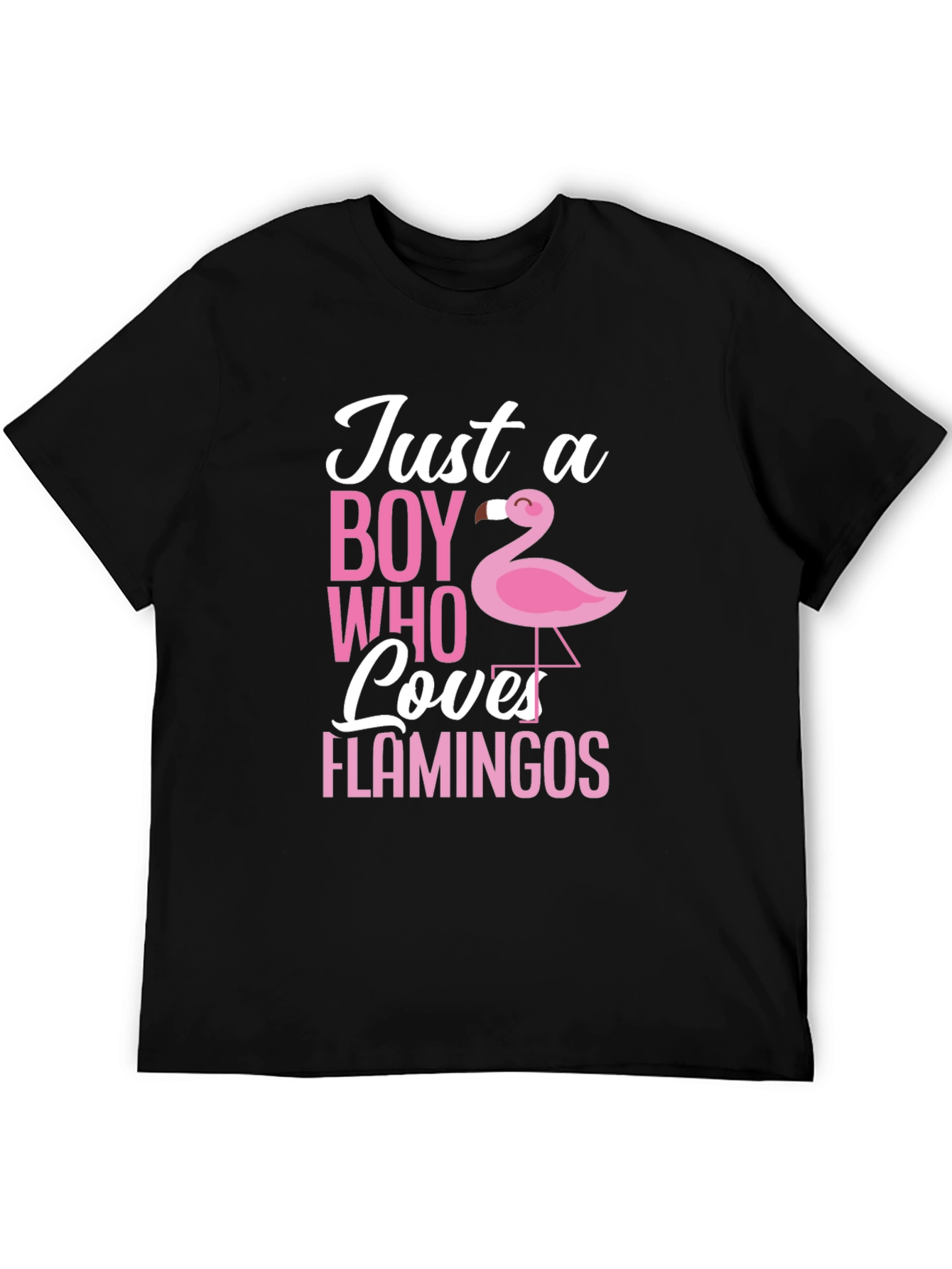 Just a Boy Who Loves Flamingos T-Shirt