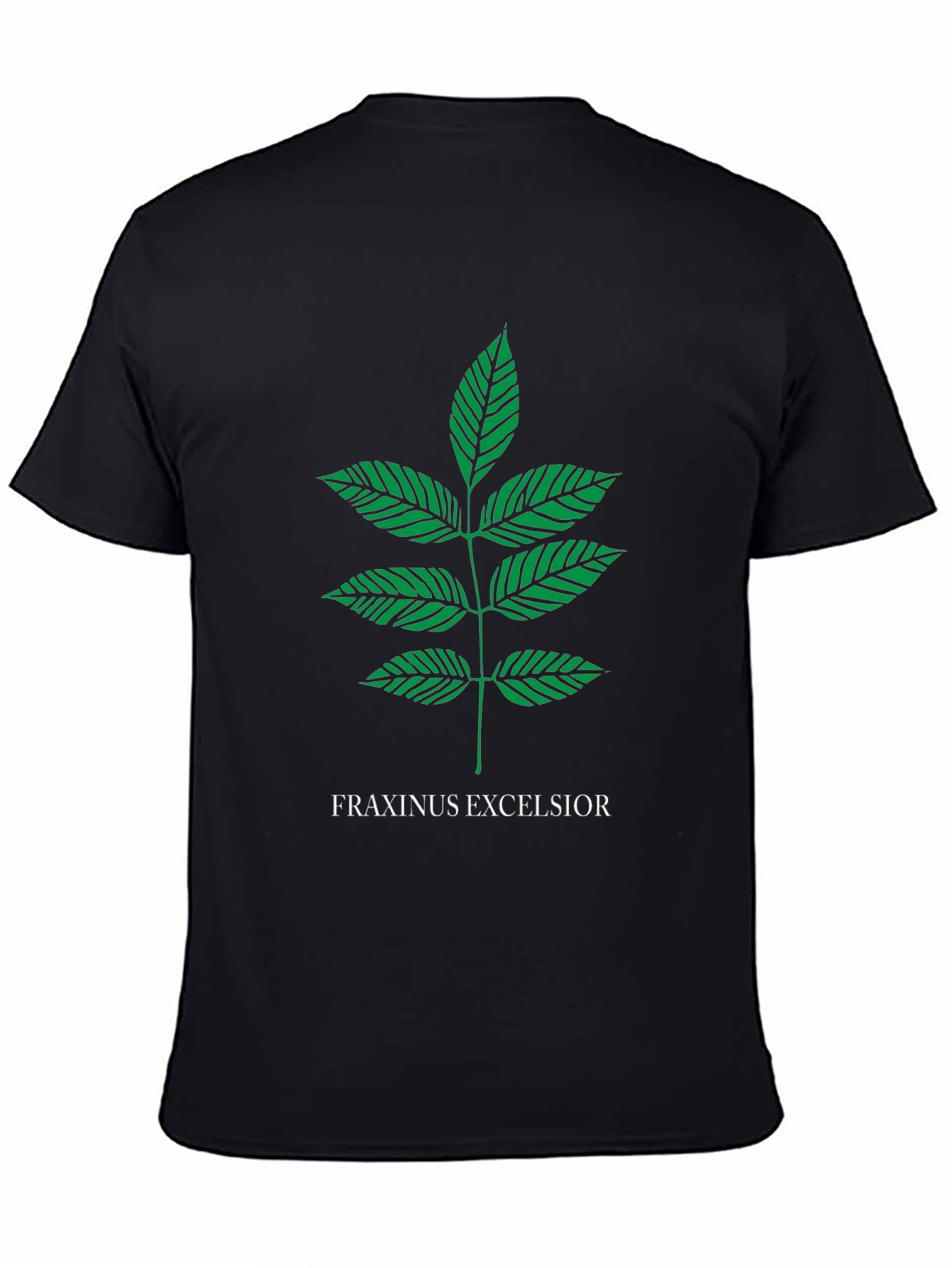 Fraxinus Excelsior T-Shirt - Botanical Tree Leaf Tee
